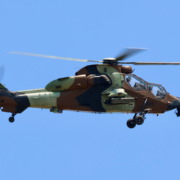 EuBrIMG_9999_572