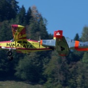 mf6